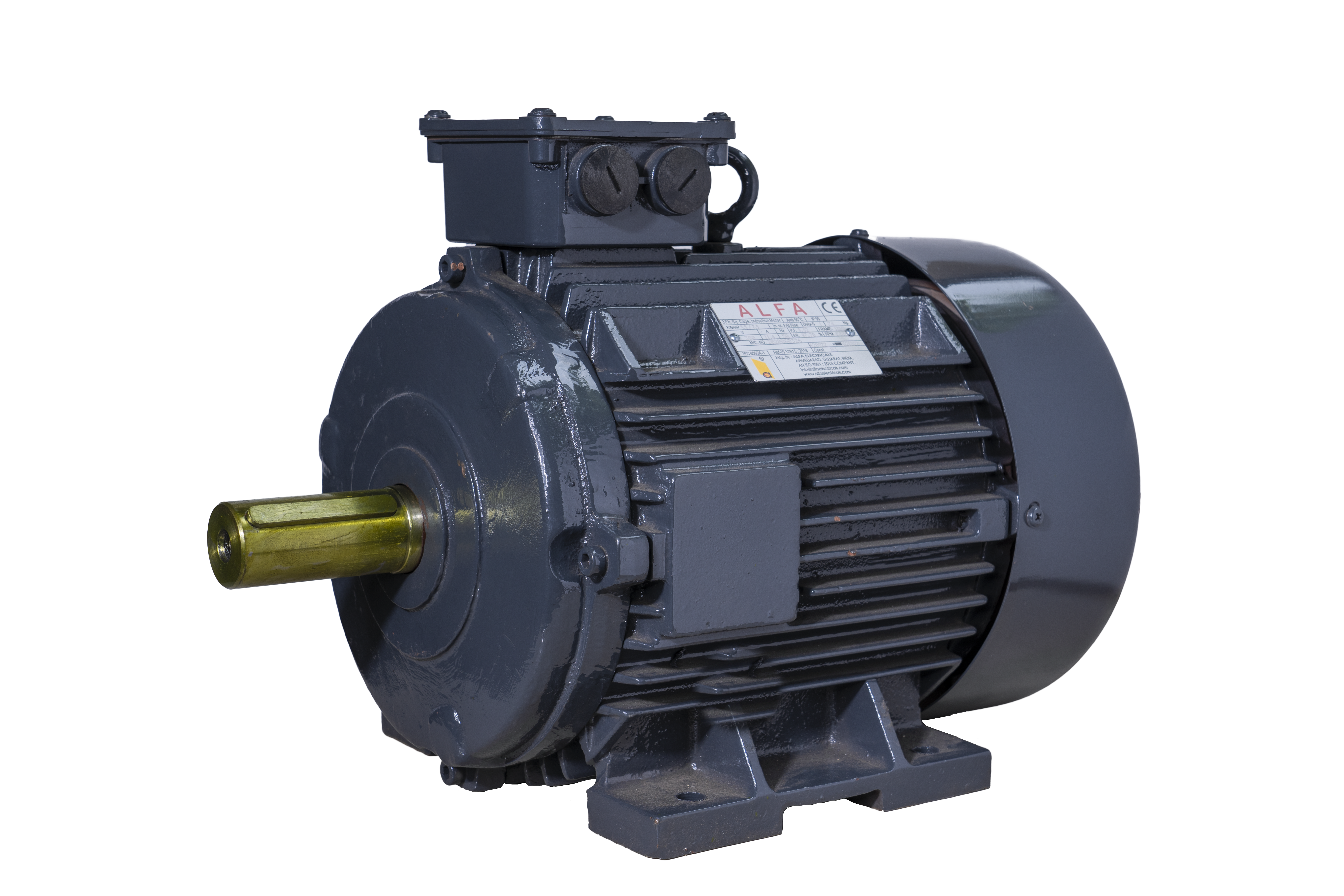 Three Phase AC Induction Motors